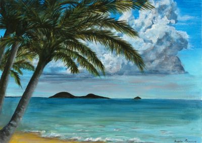 Palm Cove Beach Cairns Angela Crimmins