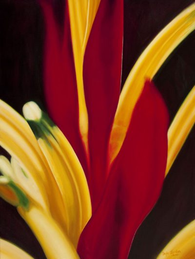 Heliconia Dreaming - Dayle Jordan