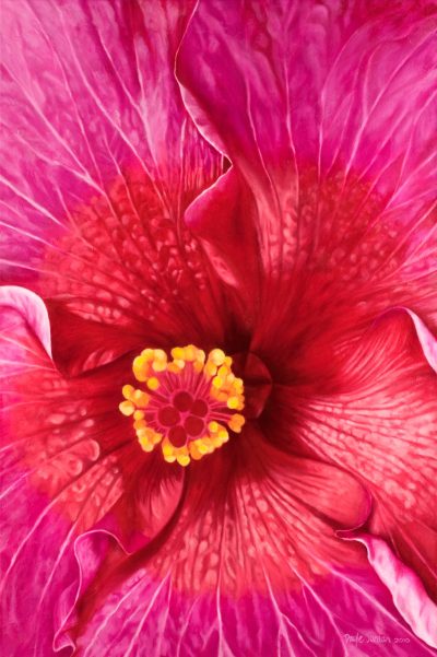 Hibiscus - Dayle Jordan