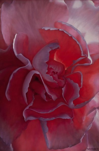 Pink Carnation - Dayle Jordan