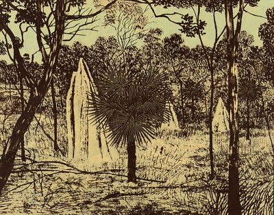 Cape York - Ray Crooke