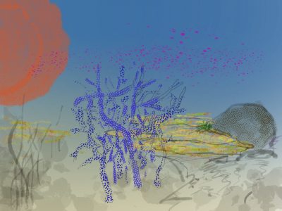 Reef Collection 2- Rod Sherlock