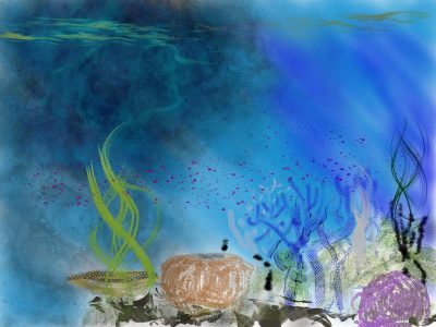 Reef Collection 4- Rod Sherlock