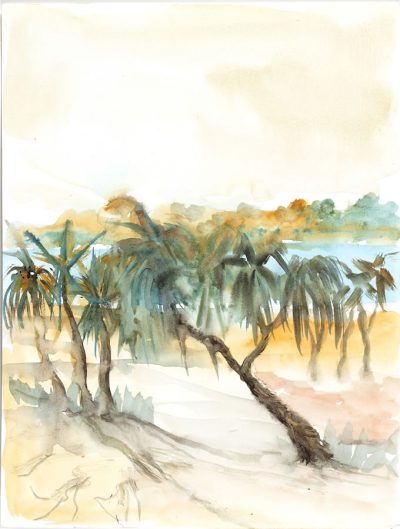 pandanus-shade-limited-edition-print