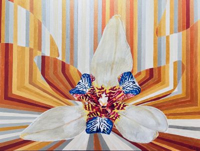 Flower Power Walking Iris 2023