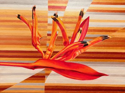 Flower Power Heliconia 2023