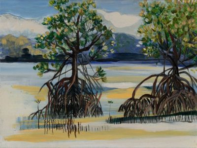 Mangroves- Yule- Point