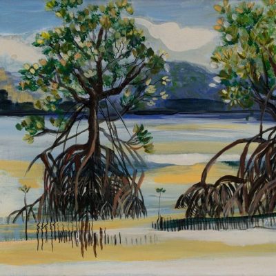 Mangroves- Yule- Point