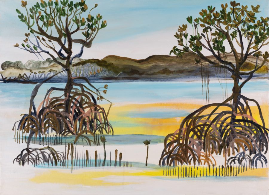 Yule Point Yellow Mangroves