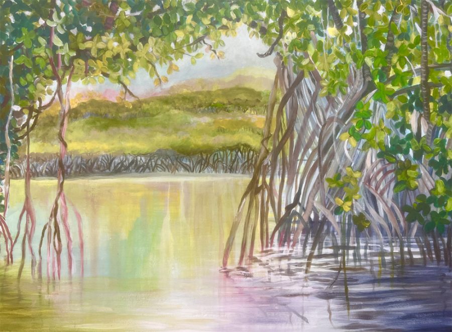 Sunrise- in-the mangroves