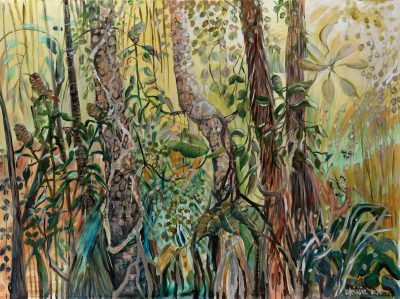 Beyond-the back-yard