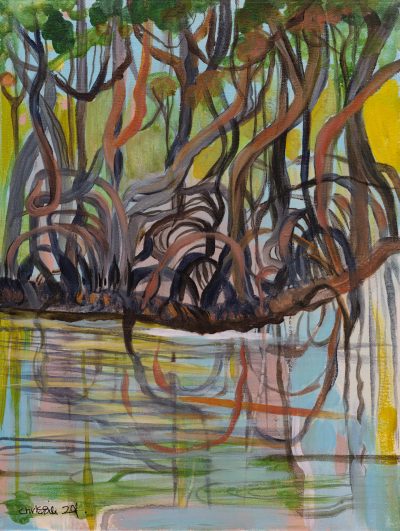 Cape- Tribulation- Mangroves