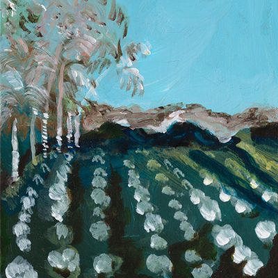 Fruit Farm