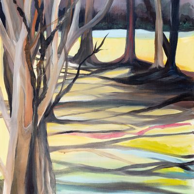 Mt Garnet Shadow Lands