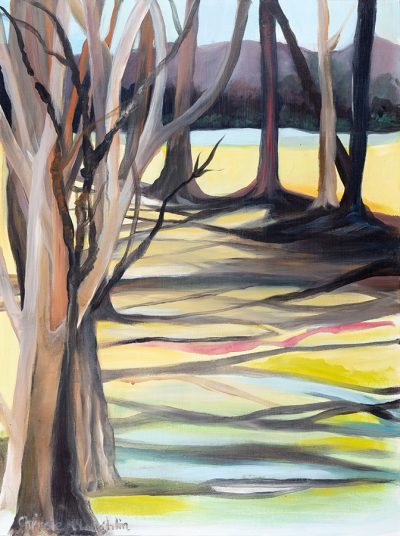 Mt Garnet Shadow Lands