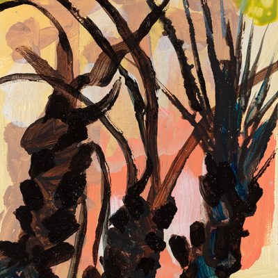 Fan Palm 3