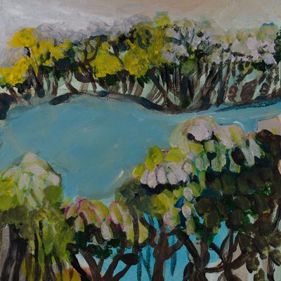 Wild River