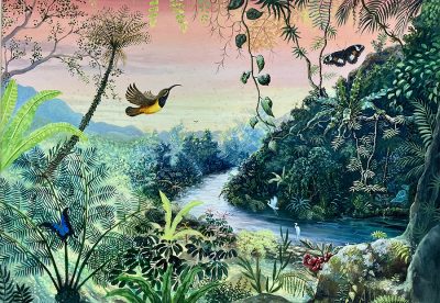 Rainforest Creek Babina - Heinz Steinmann 1948-2025