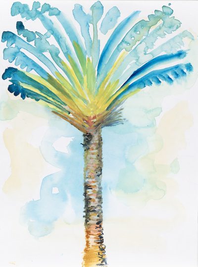 Traveller Palm Ravenala