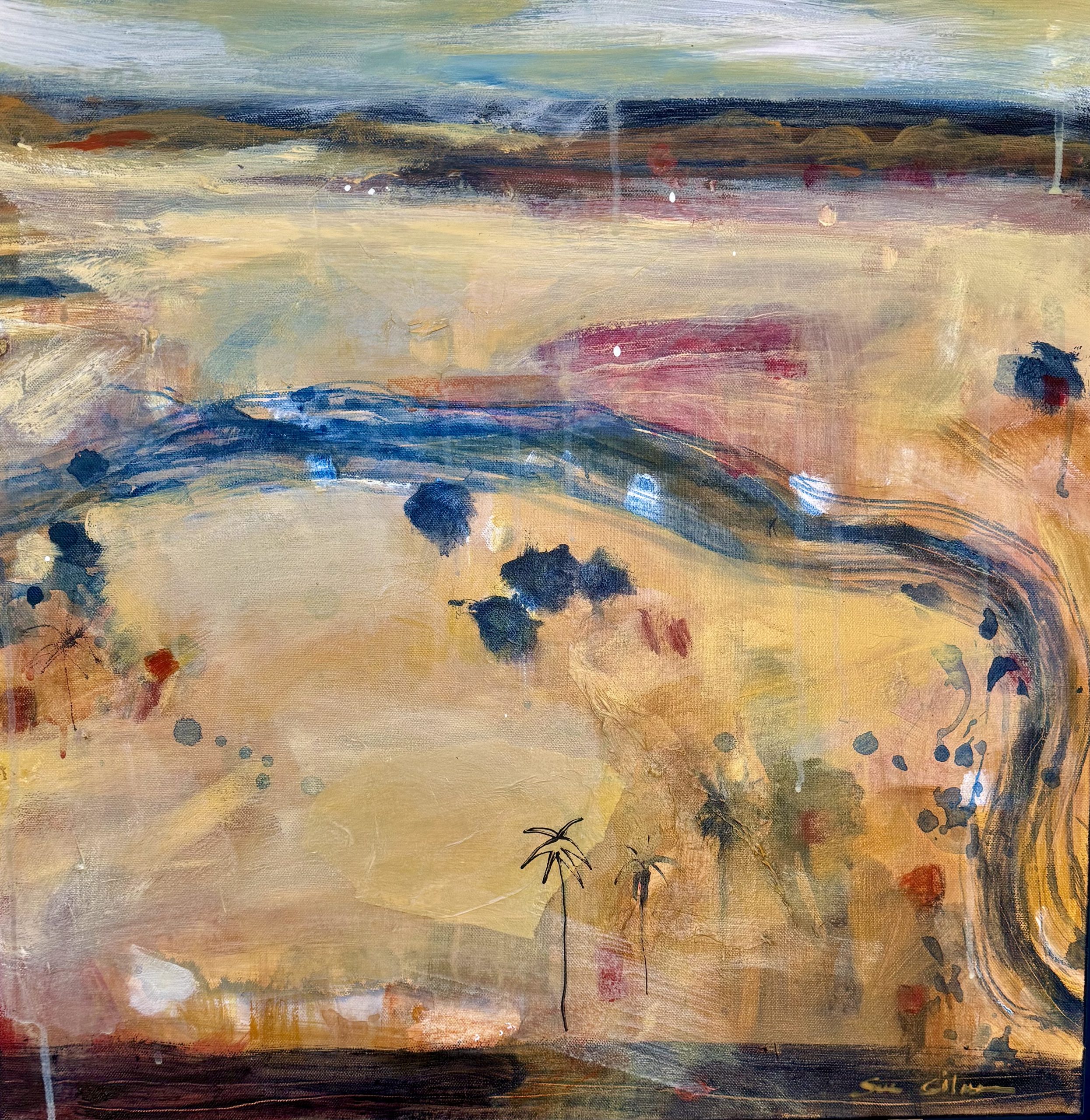 Disappearing 1- Sue Gilmore
