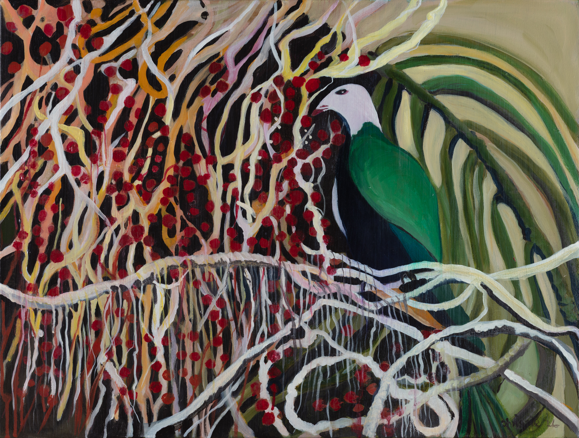 Wompoo- Chrissie Mclaughlin