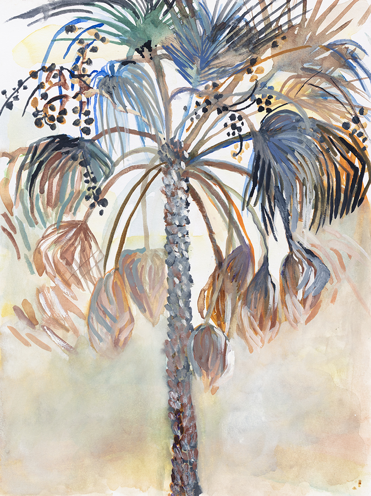 Ribbon Palm Seeds - Chrissie Mclaughlin